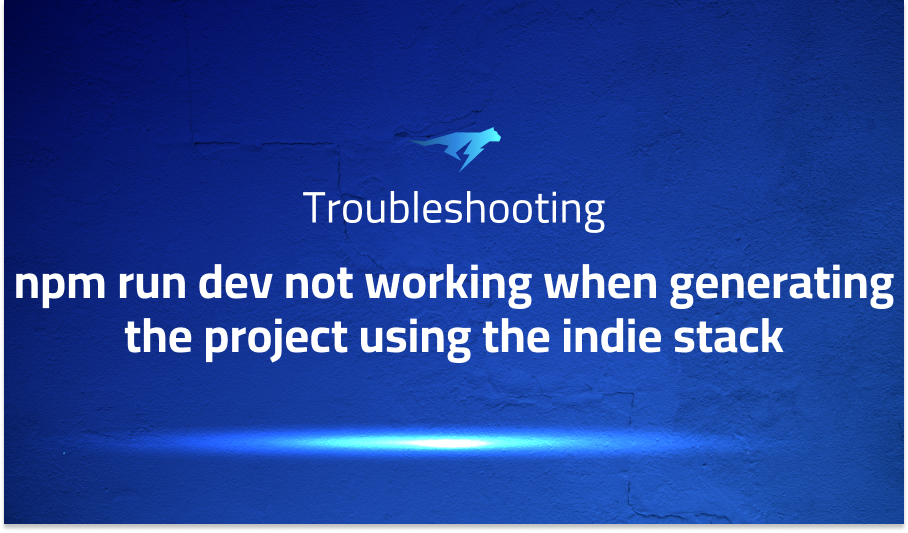 npm run dev not working when generating the project using the indie stack